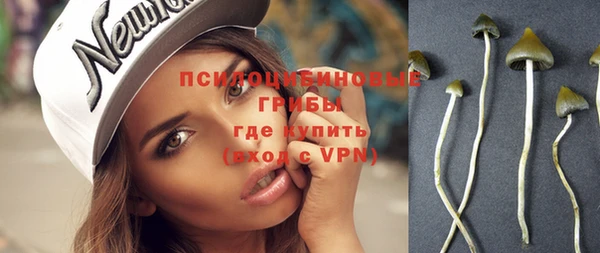 дмт Лабытнанги