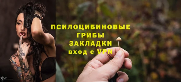 дмт Лабытнанги
