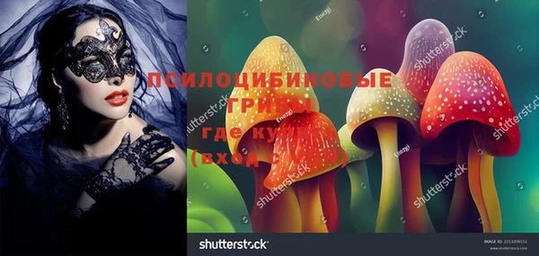 дмт Лабытнанги